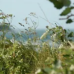 Ferienbauernhof Liesenberg Jagdreihenhaus Fasan *