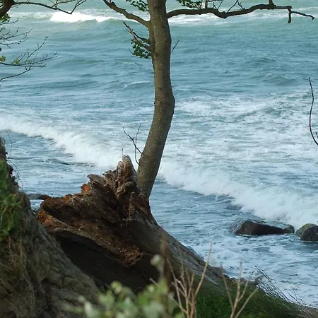 Prázdninový dům Ferienbauernhof Liesenberg Jagdreihenhaus Fasan *