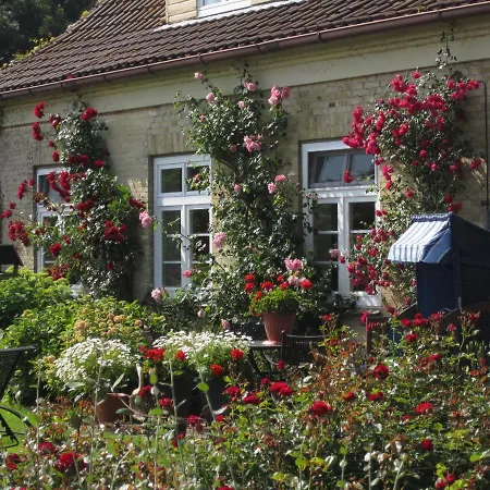 Ferienbauernhof Liesenberg Jagdreihenhaus Fasan Prázdninový dům