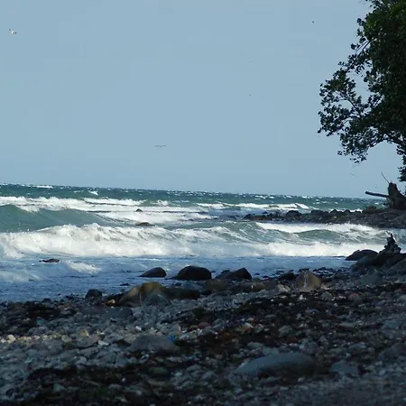 Prázdninový dům Ferienbauernhof Liesenberg Jagdreihenhaus Fasan