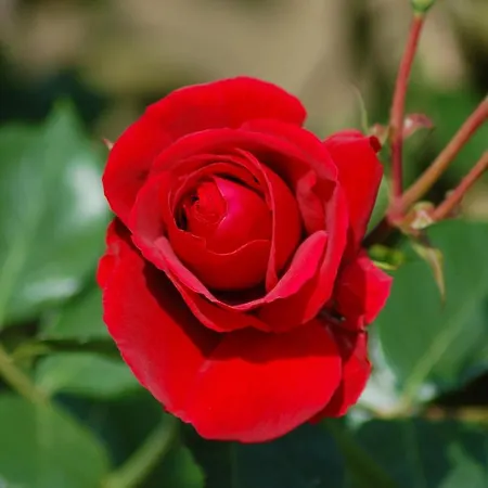 펜션 Ferienbauernhof Liesenberg Jagdreihenhaus Fasan 페마른