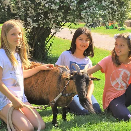 Ferienbauernhof Liesenberg Jagdreihenhaus Fasan Casa vacanze Fehmarn