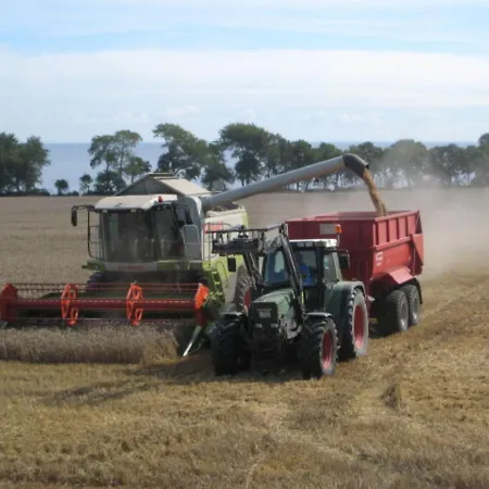 Prázdninový dům Ferienbauernhof Liesenberg Jagdreihenhaus Fasan