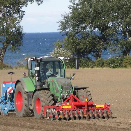 Ferienbauernhof Liesenberg Jagdreihenhaus Fasan Prázdninový dům Fehmarn